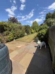 Patio back garden.